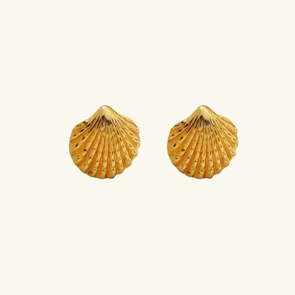 Shell Earrings - 18k Gold Plated Anti Tarnish